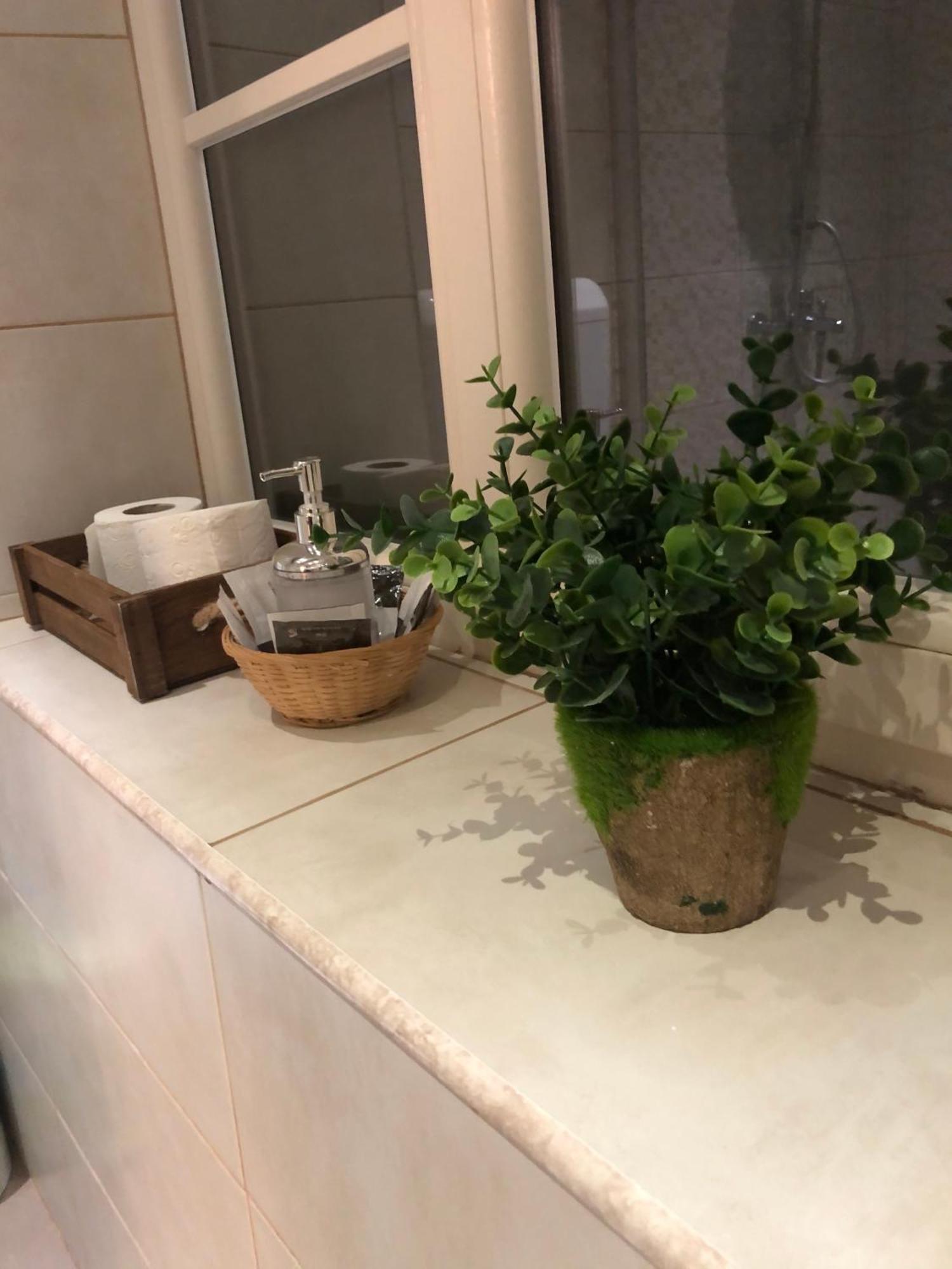 Cozy Residence 布拉索夫 外观 照片