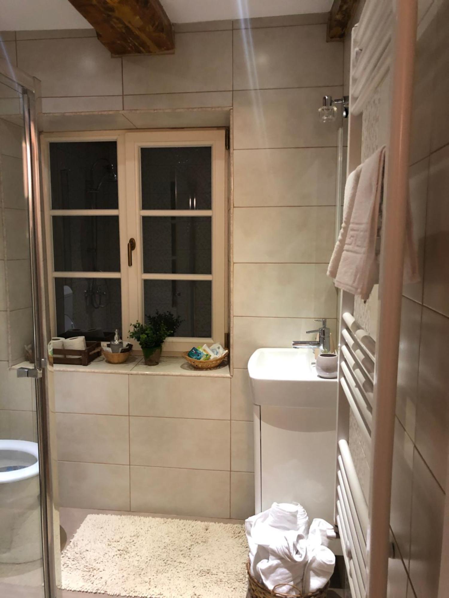 Cozy Residence 布拉索夫 外观 照片